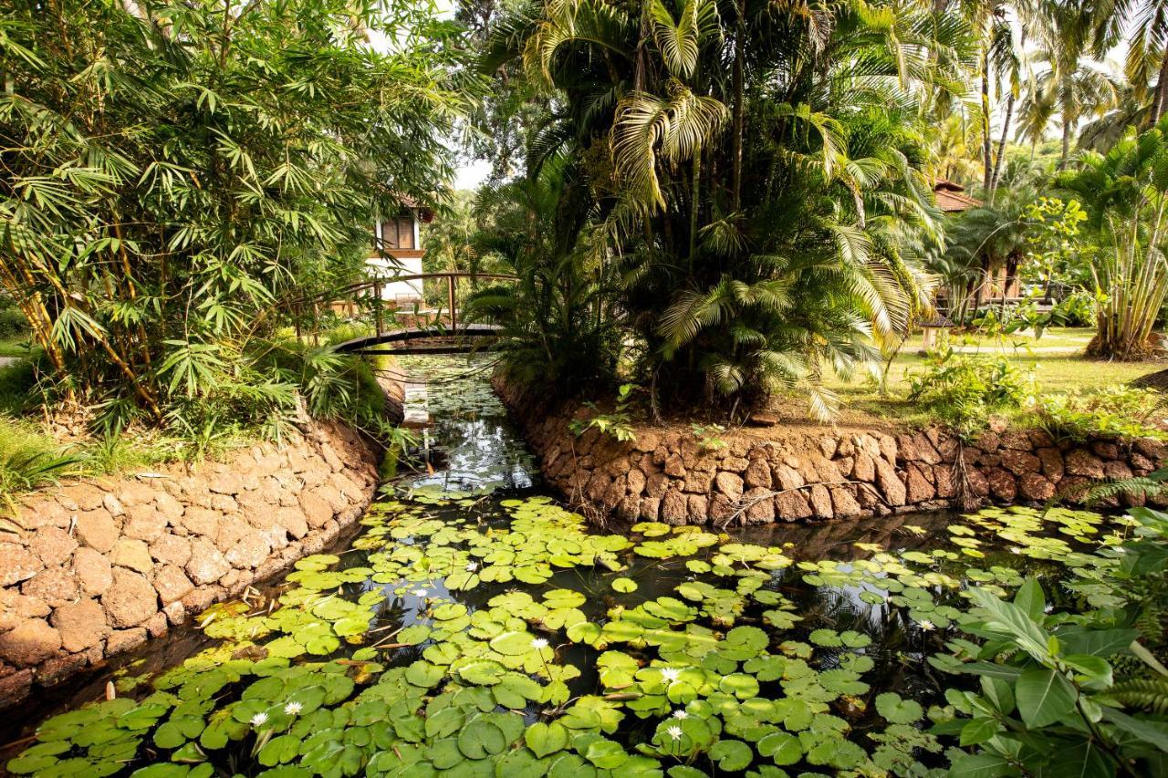 Coconut Creek Resort - Dabolim Airport Mormugao Exterior photo